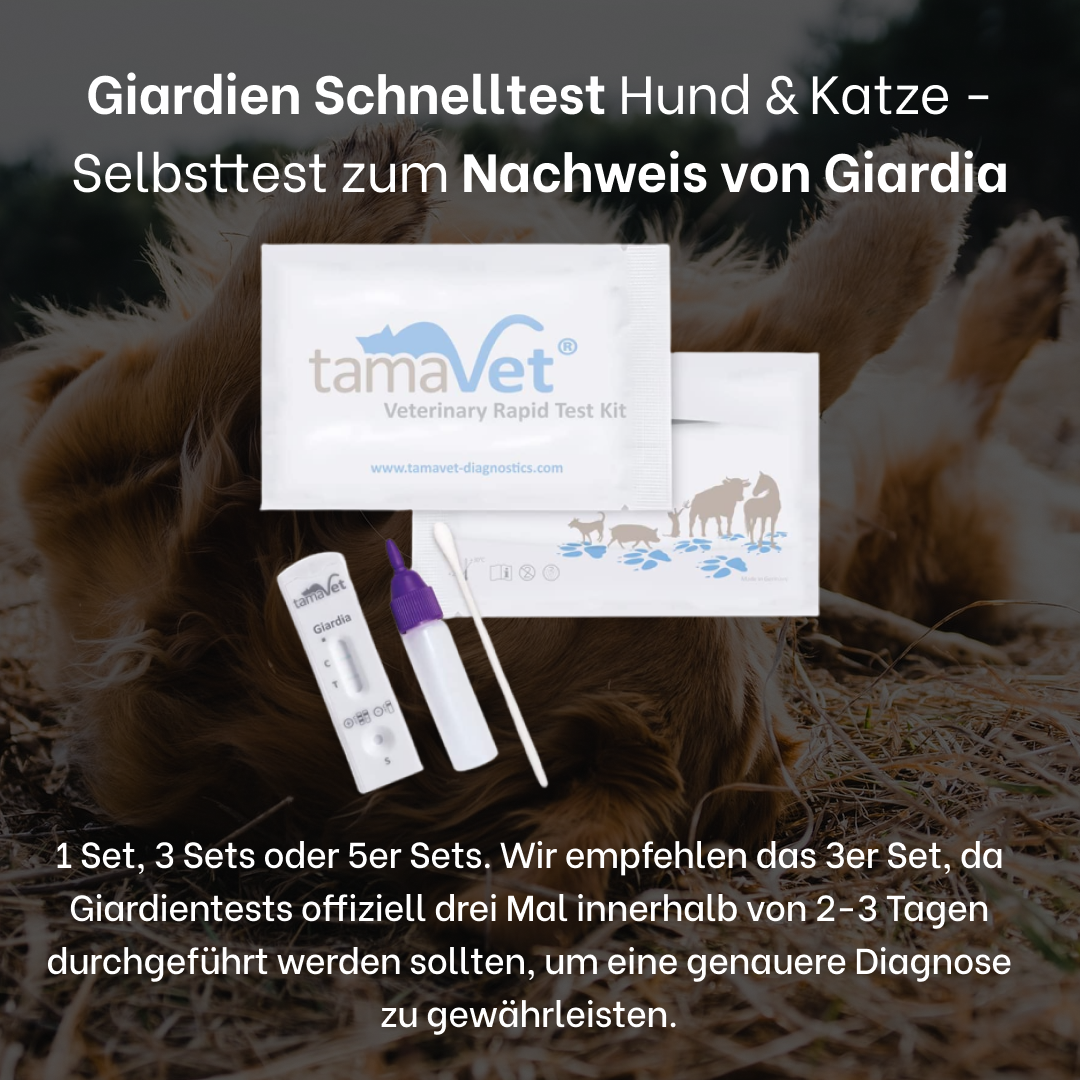 Giardien Schnelltest Hund & Katze - Selbsttest zum Nachweis von Giardia