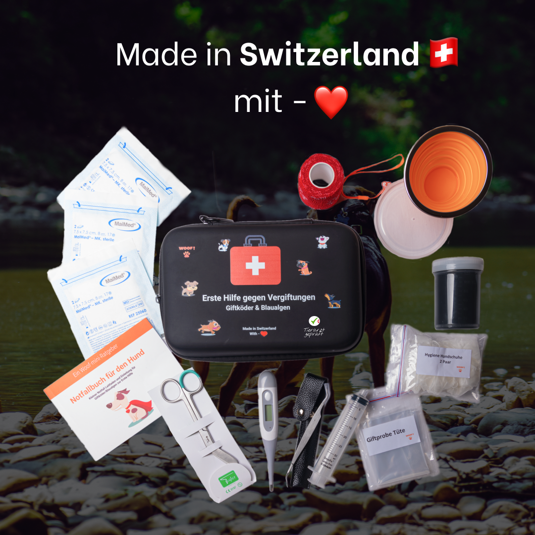 Erste Hilfe gegen Vergiftungen Giftköder & Blaualgen