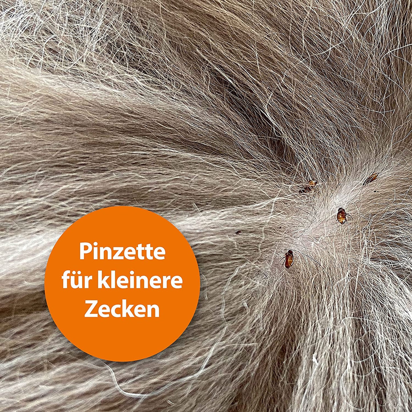 Edelstahl Zeckenhaken
