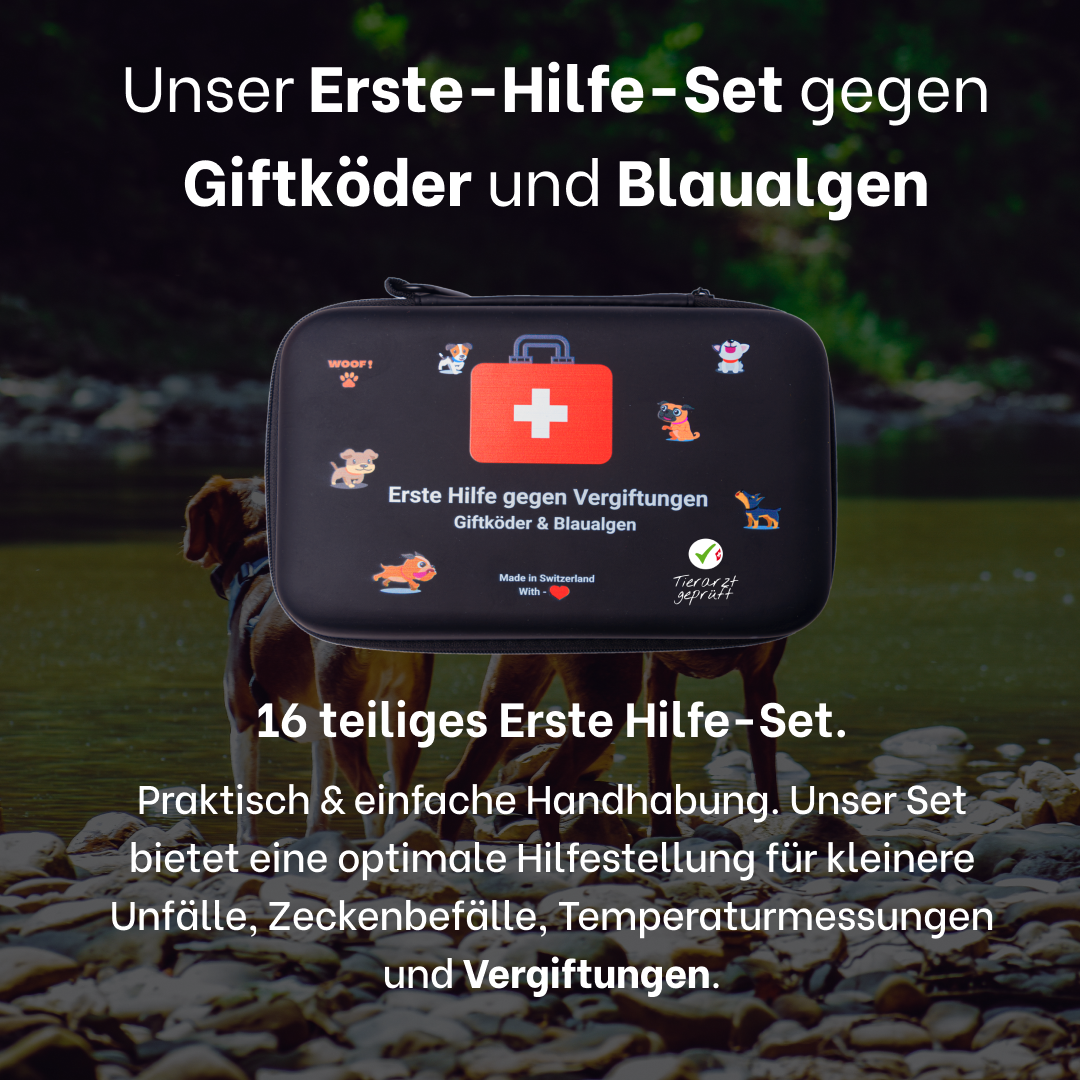 Erste Hilfe gegen Vergiftungen  Giftköder & Blaualgen